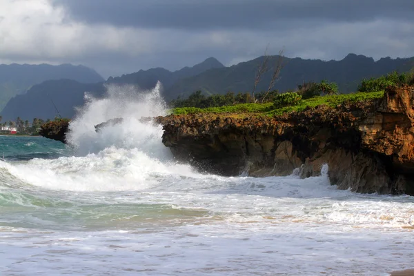 ハワイ ・ オアフ島のストック イメージ — ストック写真