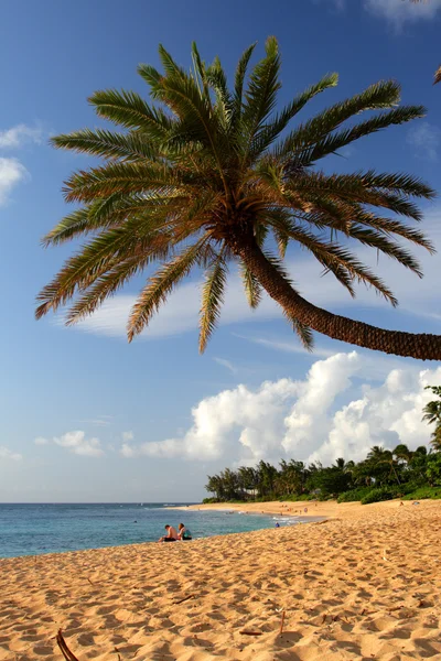 Archivbild von o 'ahu, Hawaii — Stockfoto