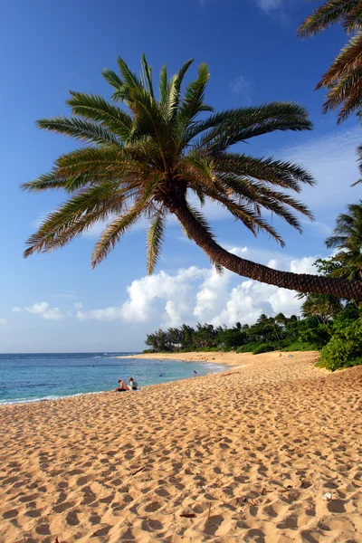 O'ahu, Hawaii stok görüntü