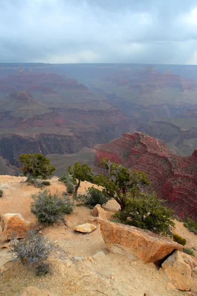 Grand Canyon National Park, EUA — Fotografia de Stock