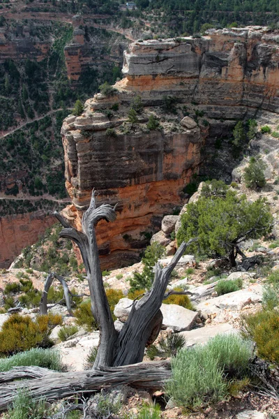 Grand Canyon National Park, EUA — Fotografia de Stock