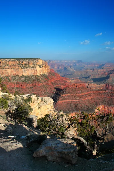 Grand Canyon National Park, EUA — Fotografia de Stock