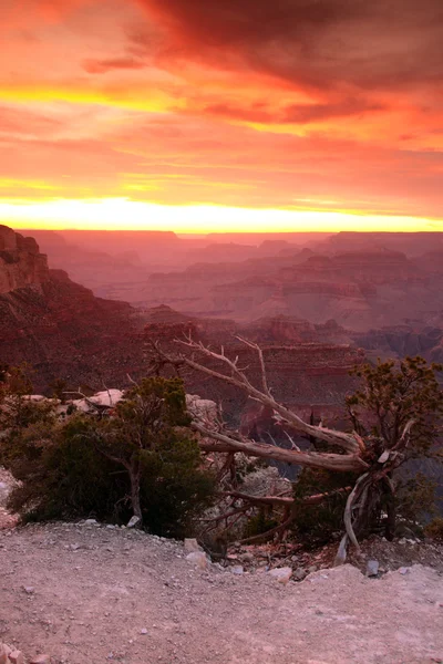 Grand Canyon National Park, Stati Uniti — Foto Stock