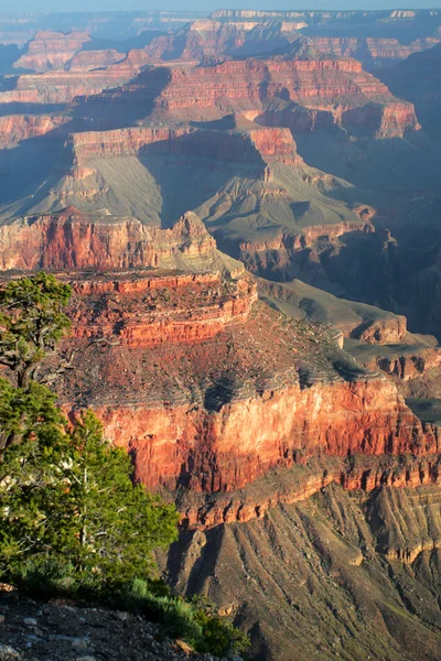 Grand Canyon Nemzeti Park, Amerikai Egyesült Államok — Stock Fotó