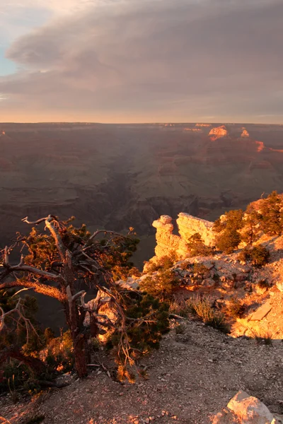 Grand Canyon National Park, USA — Stock Photo, Image