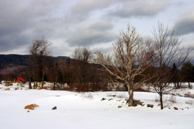 Bretton Woods, New Hampshire