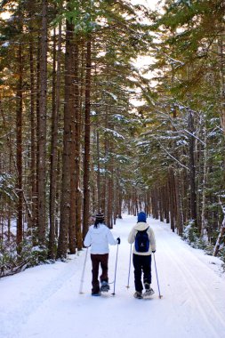Bretton Woods, New Hampshire