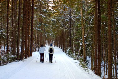 Bretton Woods, New Hampshire