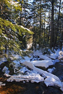 Havzası, New Hampshire