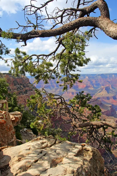 Grand Canyon Ulusal Parkı, ABD — Stok fotoğraf