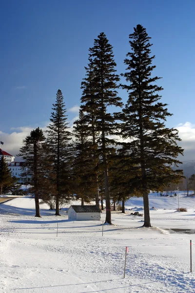 Bretton Woods (New Hampshire) — Photo