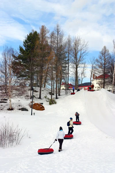 Bretton Woods, New Hampshire — Stockfoto