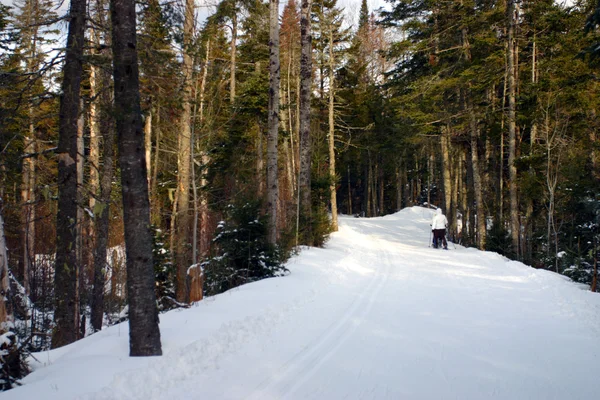 Bretton Woods, New Hampshire — Stockfoto