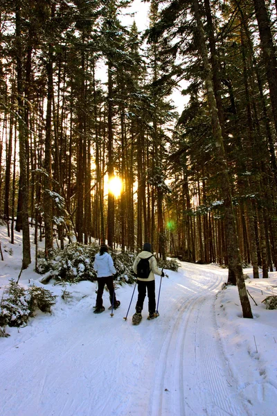 Bretton Woods, New Hampshire — Stockfoto