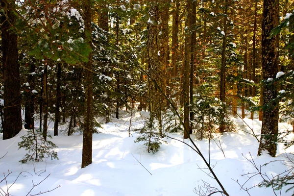 The basin, New Hampshire — Stock Photo, Image