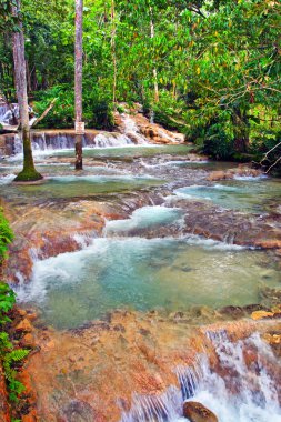 Dunn'ın River Falls, Ocho Rios, Jamaica
