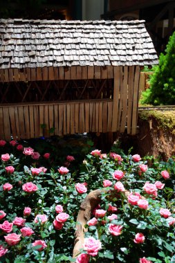 Minyatür modeli lokomotif