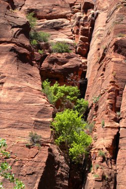 Zion national park, Amerika