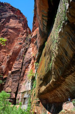 Zion national park, Amerika