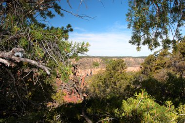 Grand Canyon Ulusal Parkı, ABD
