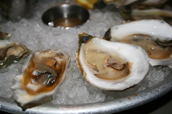Свіжі й смачні морепродукти трапези в Бостоні (США) — стокове фото