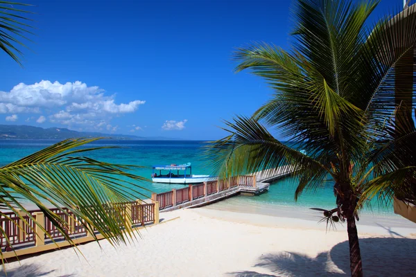 Doctor's Cave Beach, Montego Bay, Jamaica — Stock Photo, Image