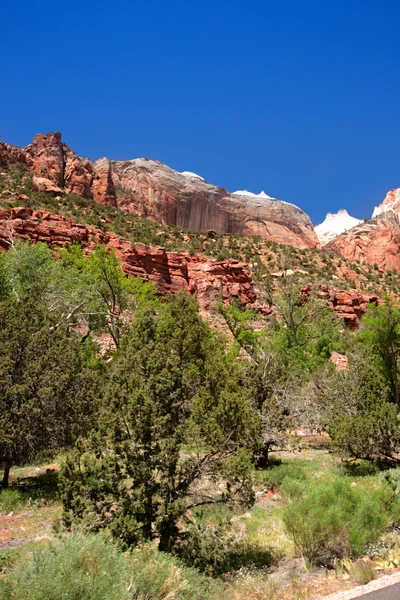 Zion nationalpark, usa — Stockfoto