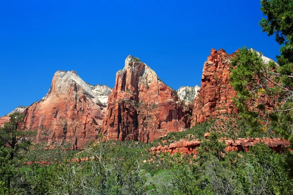 Zion nationalpark, usa — Stockfoto