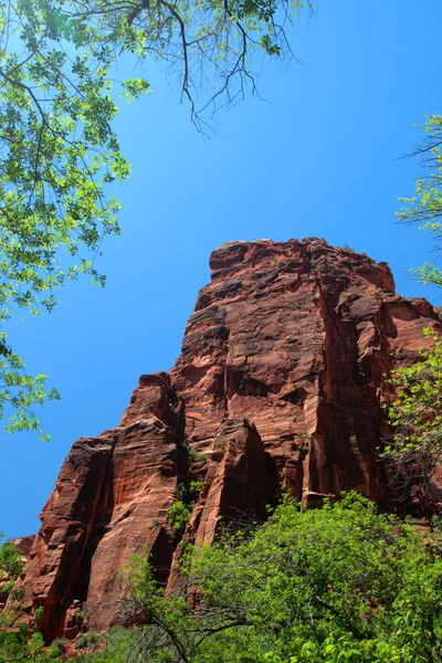 Zion Nationaalpark, Verenigde Staten — Stockfoto