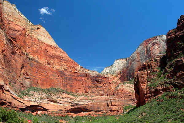 Zion nationalpark, usa — Stockfoto