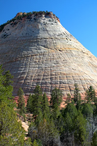 Parque Nacional de Zion, EE.UU. — Foto de Stock