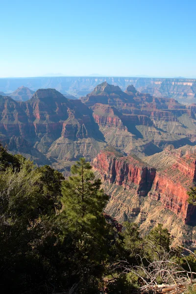 Parque Nacional del Gran Cañón, Estados Unidos — Foto de Stock