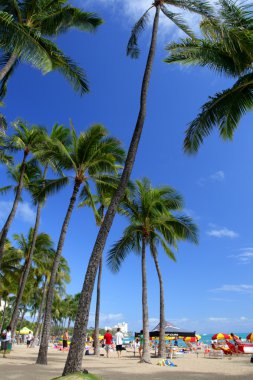 Beach Waikiki, Honolulu, Oahu, Hawaii