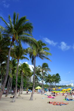 Beach Waikiki, Honolulu, Oahu, Hawaii