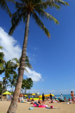 Beach Waikiki, Honolulu, Oahu, Hawaii