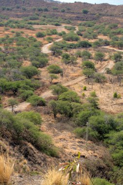 Diamond Head, Honolulu, Hawaii