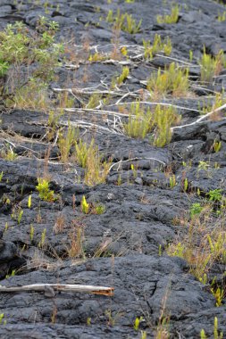 Hawaii yanardağlar Milli Parkı, ABD