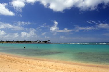 Beach Waikiki, Honolulu, Oahu, Hawaii