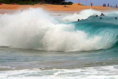 Maunalua Bay, Oahu, Hawaii
