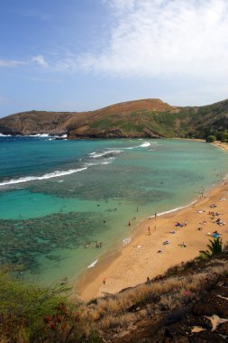 Hanauma Körfezi, Oahu, Hawaii