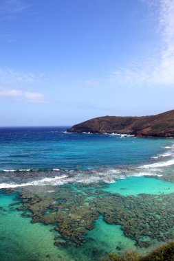 Hanauma Körfezi, Oahu, Hawaii