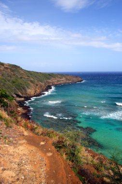 Hanauma Körfezi, Oahu, Hawaii