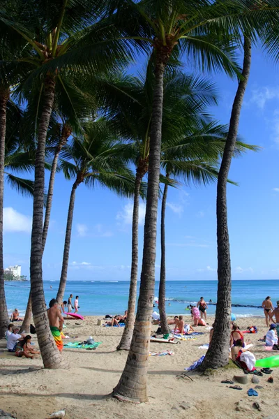 Beach Waikiki, Honolulu, Oahu, Hawaii — Stok fotoğraf