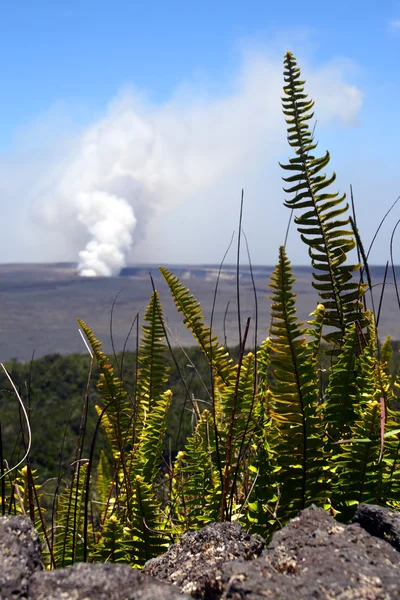 夏威夷火山国家公园，美国 — 图库照片