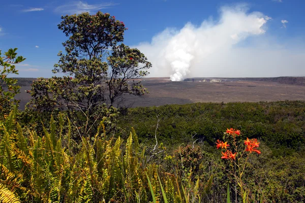 Hawaii Volcanoes National Park, EUA — Fotografia de Stock