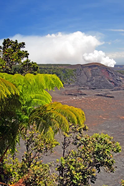 ハワイ火山国立公園、アメリカ合衆国 — ストック写真