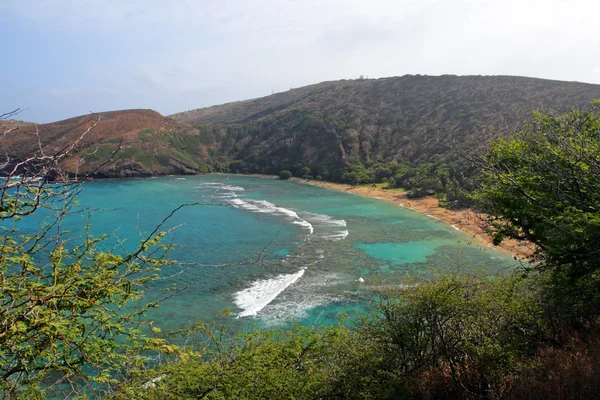 Hanauma Bay, Oahu, Hawaii — Stockfoto