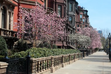 Back Bay, Boston