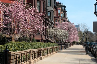 Back Bay, Boston