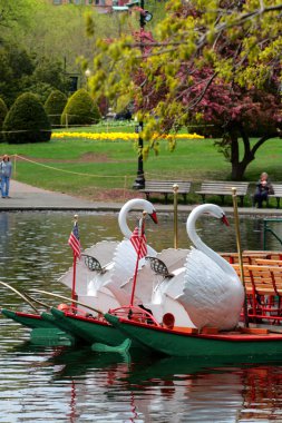 Boston Common ve kamu Bahçe, ABD